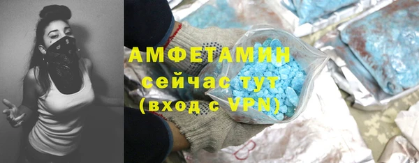 шишки Арсеньев