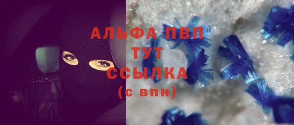 шишки Арсеньев
