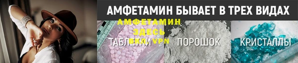 шишки Арсеньев