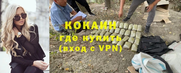 шишки Арсеньев