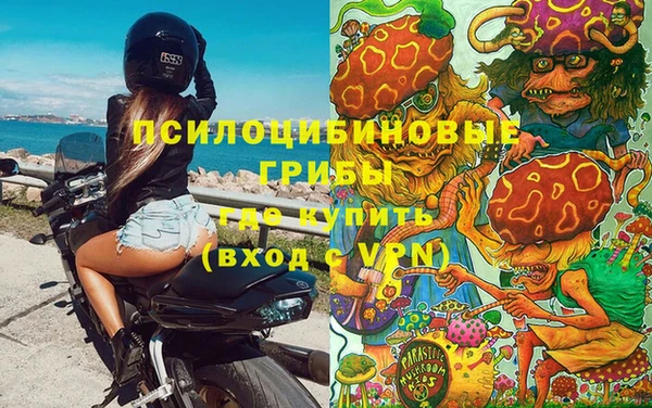 шишки Арсеньев
