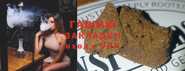 шишки Арсеньев