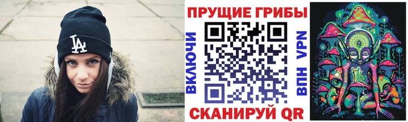 где купить наркотик  Родники  Псилоцибиновые грибы Magic Shrooms 